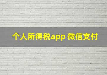 个人所得税app 微信支付